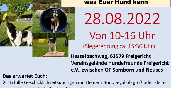 Save the Date – Sommerfest mit Hundeolympiade am 28.08.2022